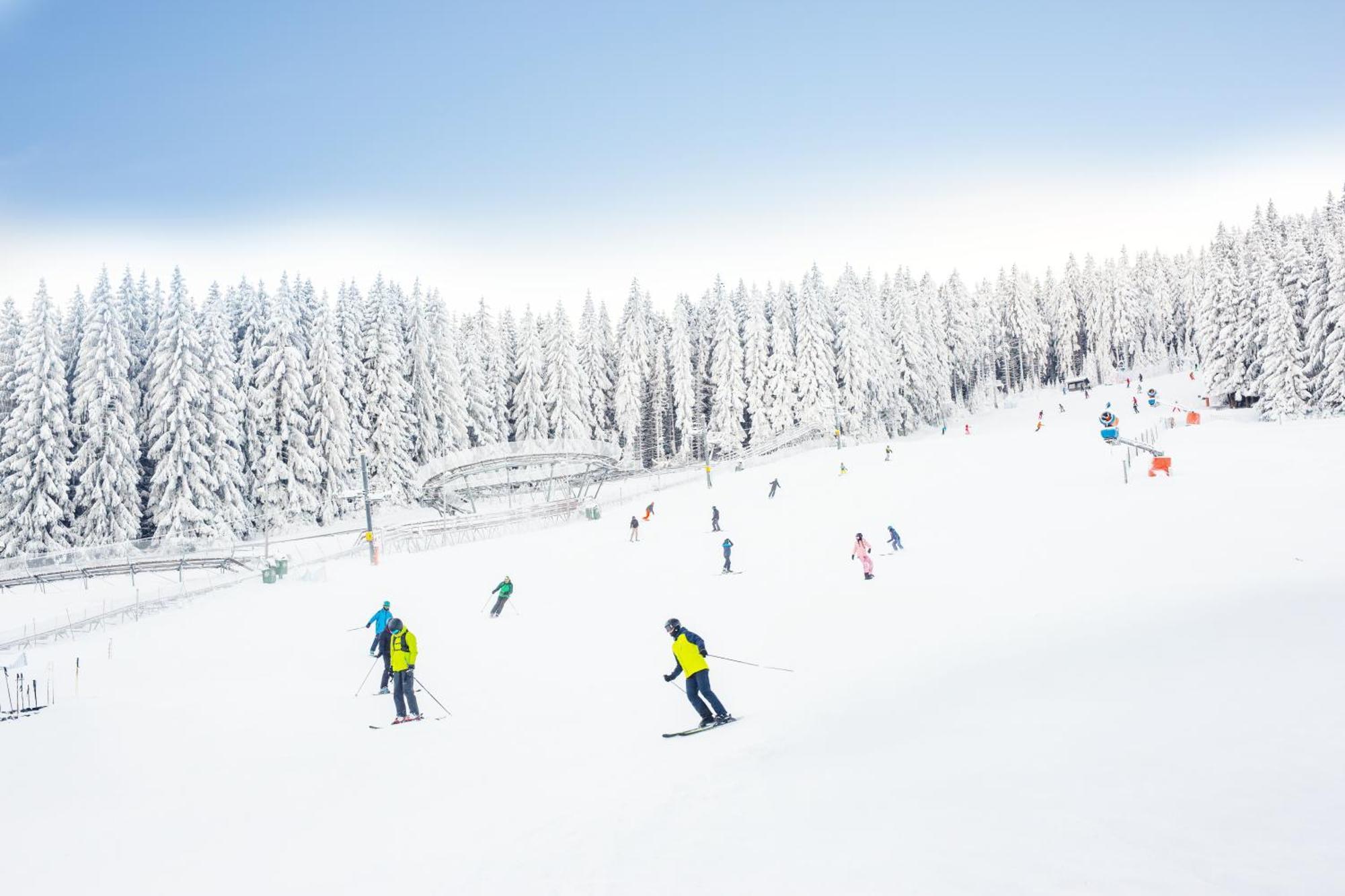 Panorama Ski, Bike, Spa & Restaurant - Czarna Gora Resort Строне-Слёнске Экстерьер фото