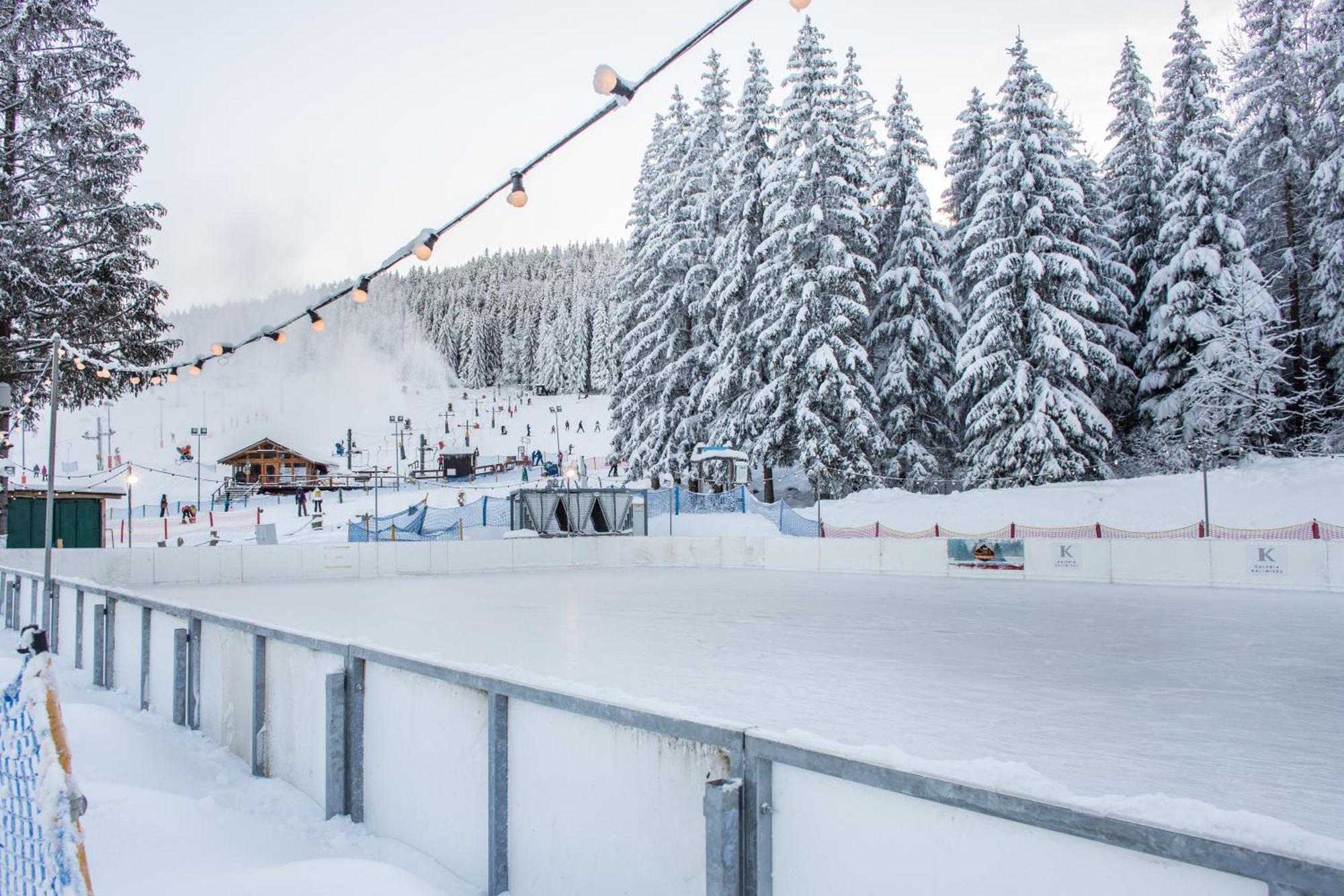 Panorama Ski, Bike, Spa & Restaurant - Czarna Gora Resort Строне-Слёнске Экстерьер фото